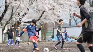 部活動一覧